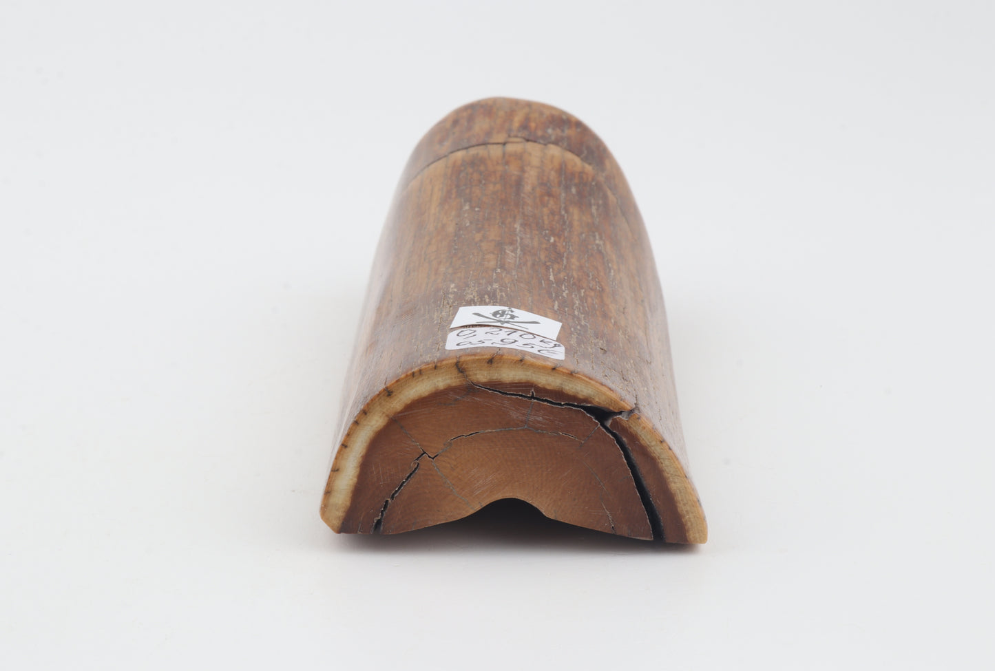 Brown mammoth ivory piece
