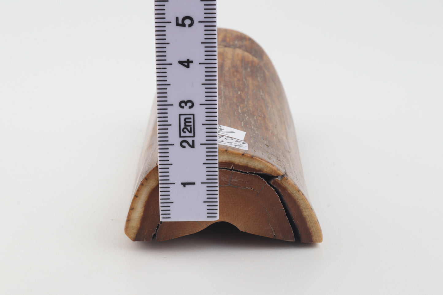 Brown mammoth ivory piece
