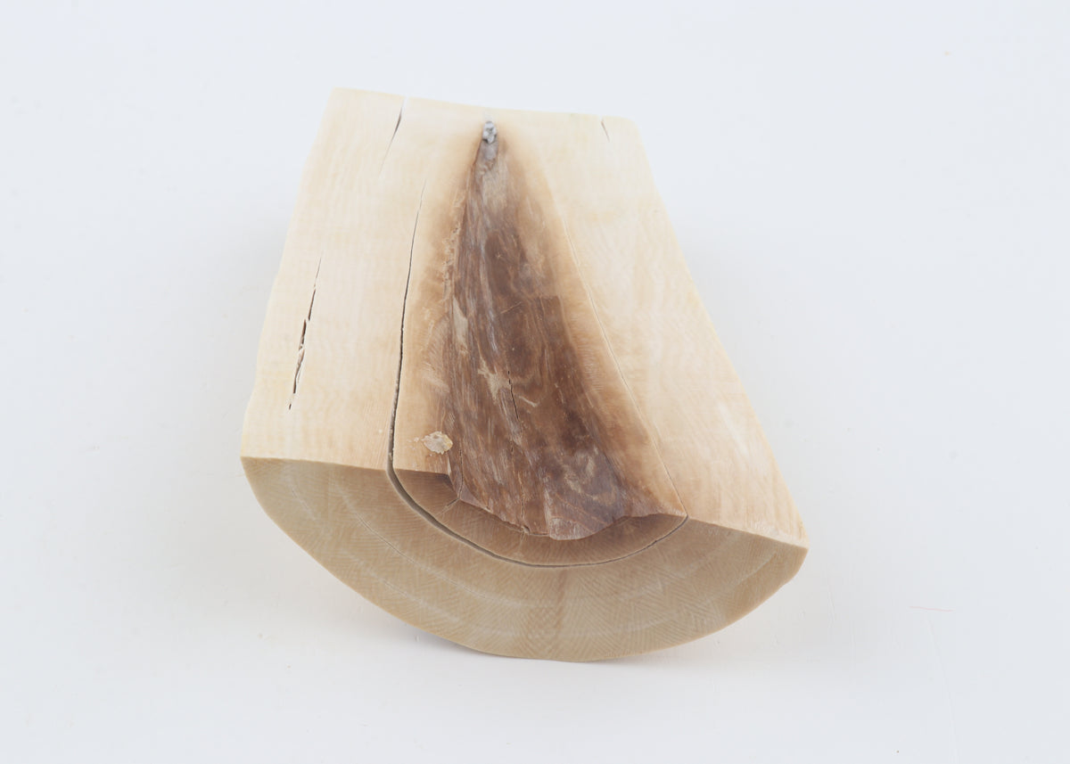 White mammoth ivory piece