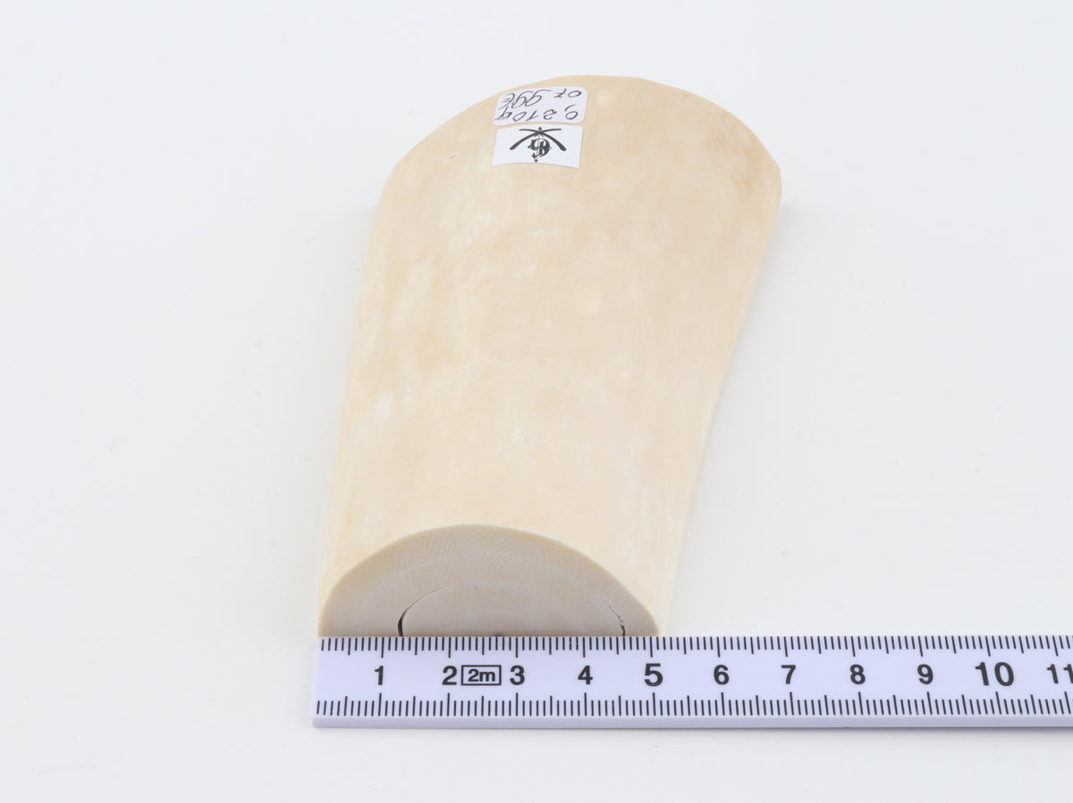 White mammoth ivory piece