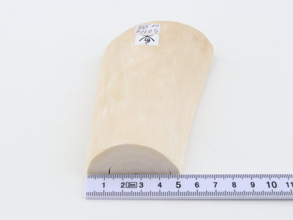 White mammoth ivory piece
