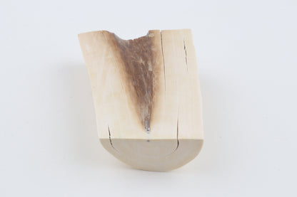 White mammoth ivory piece