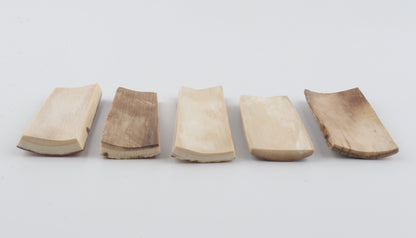 Natural mammoth bark pieces