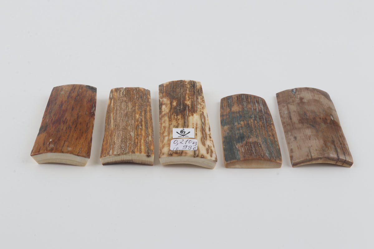 Natural mammoth bark pieces