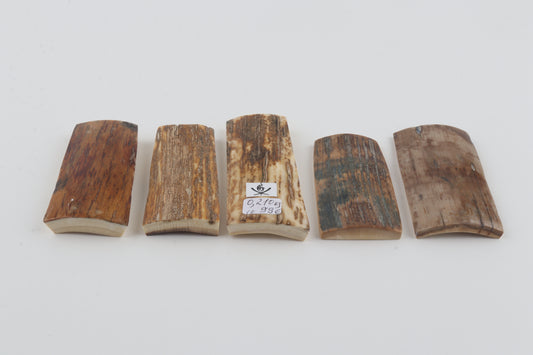 Natural mammoth bark pieces