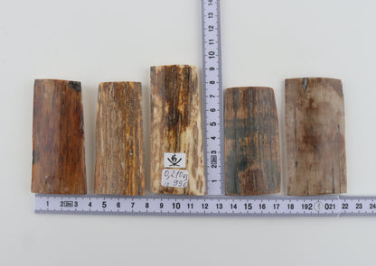 Natural mammoth bark pieces