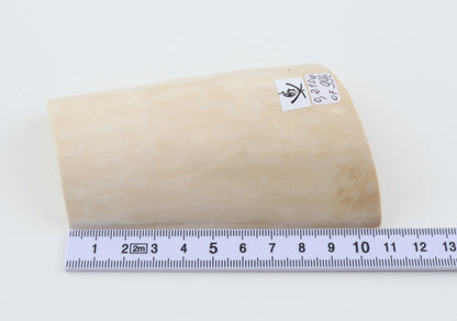 White mammoth ivory piece
