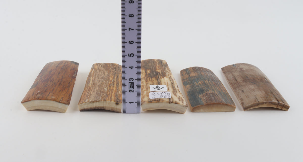 Natural mammoth bark pieces
