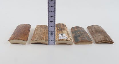 Natural mammoth bark pieces