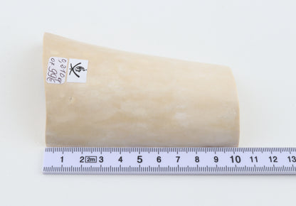 White mammoth ivory piece