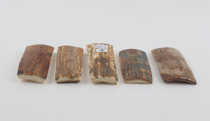 Natural mammoth bark pieces