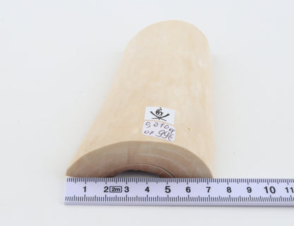 White mammoth ivory piece