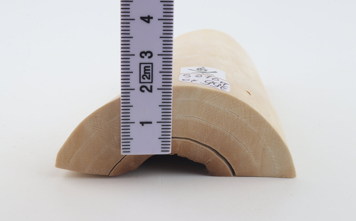 White mammoth ivory piece