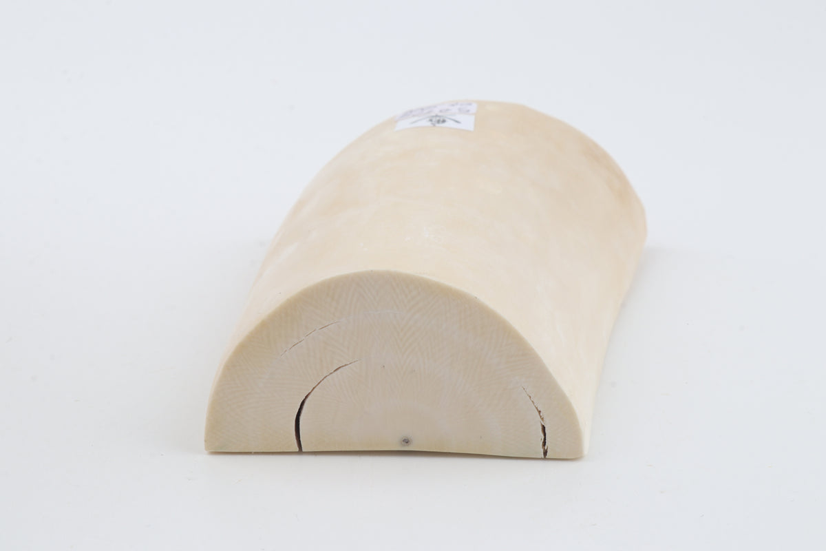 White mammoth ivory piece