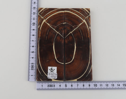 Stabilised mammoth ivory scales