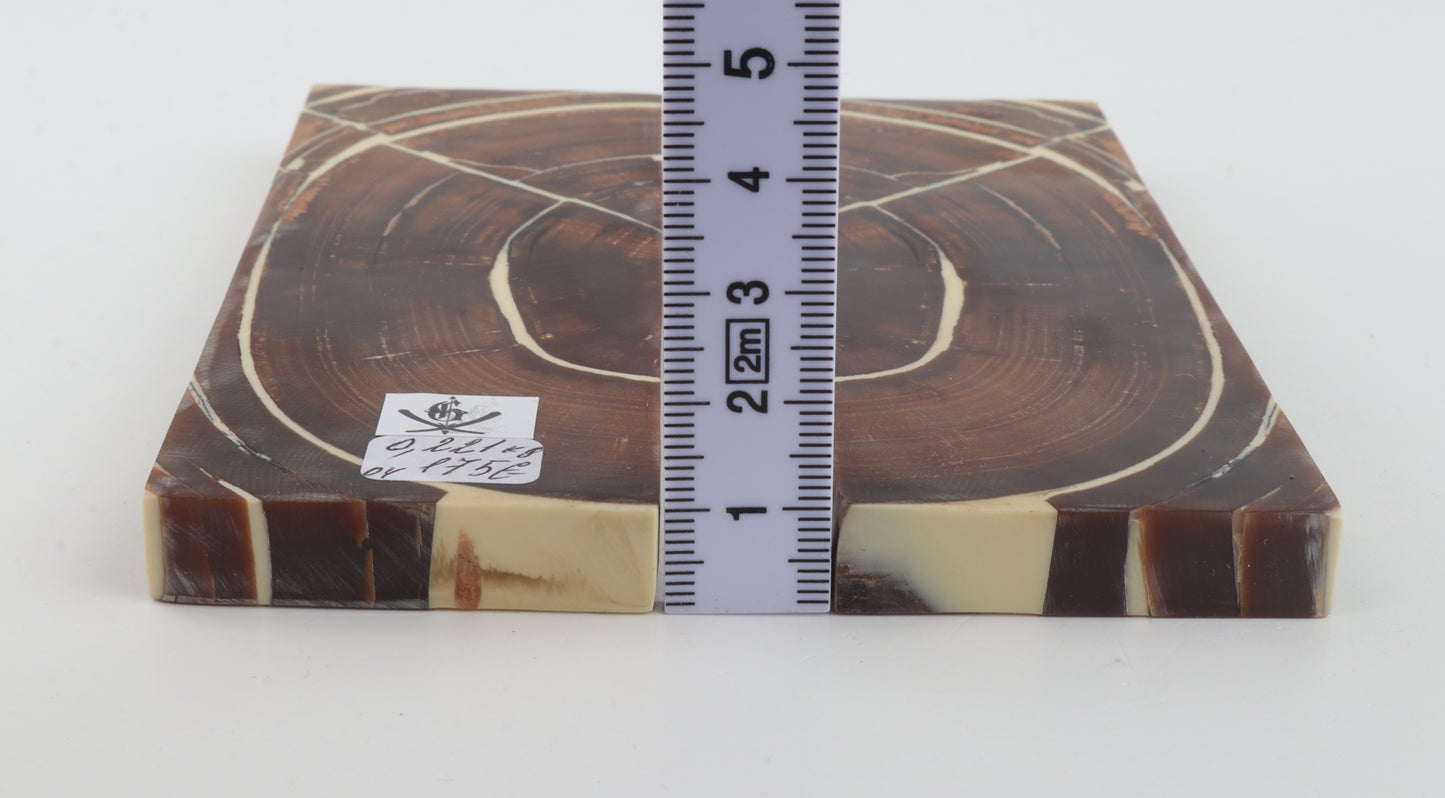 Stabilised mammoth ivory scales