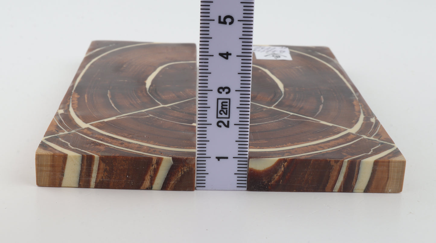 Stabilised mammoth ivory scales