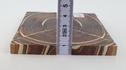 Stabilised mammoth ivory scales