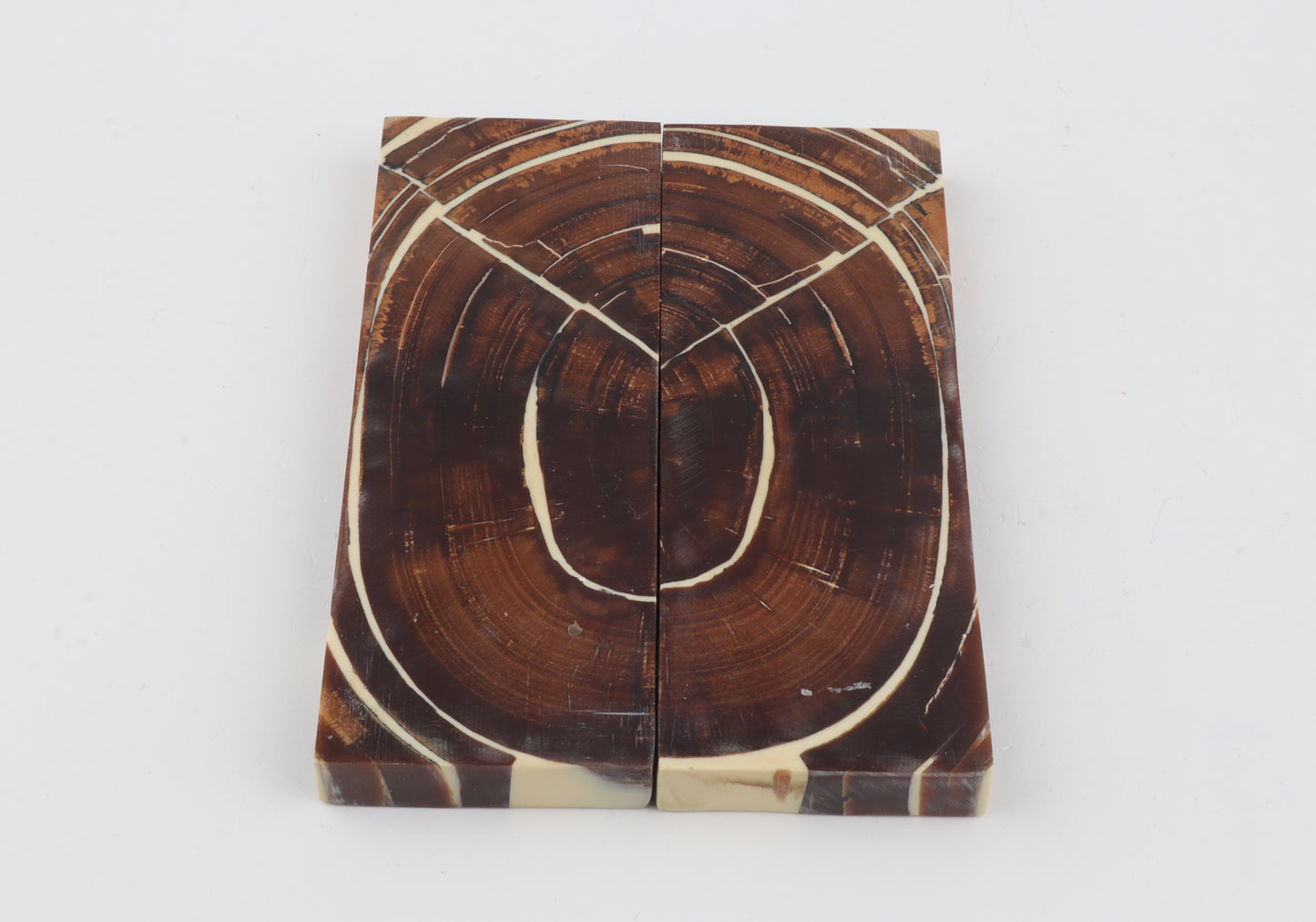 Stabilised mammoth ivory scales