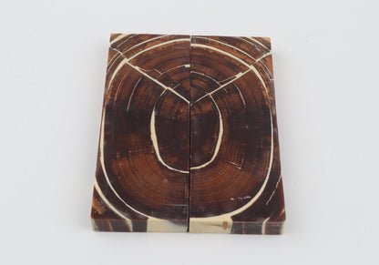 Stabilised mammoth ivory scales