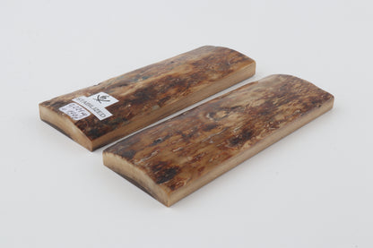 Stabilized mammoth bark scales