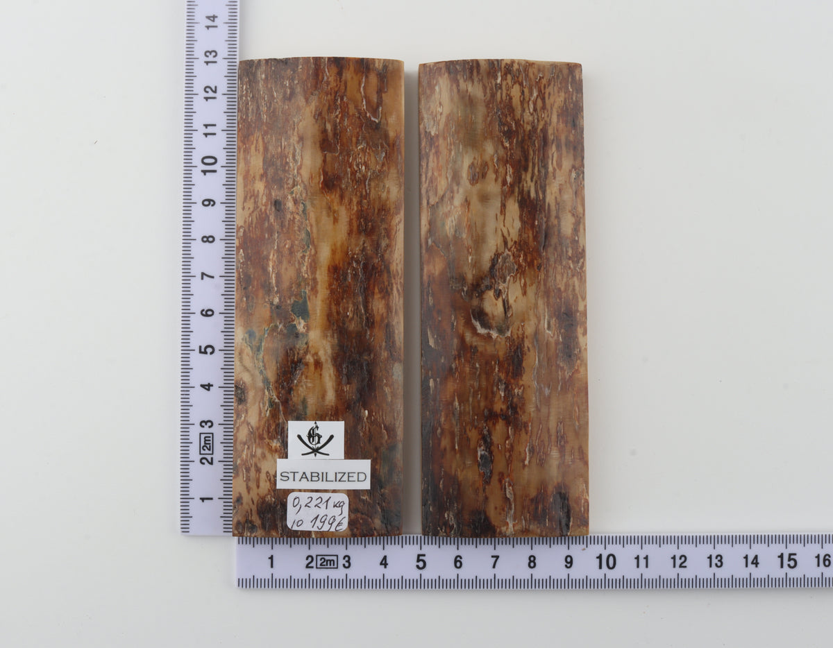 Stabilized mammoth bark scales