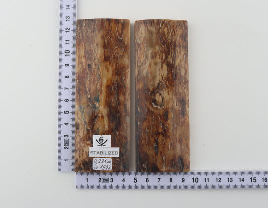 Stabilized mammoth bark scales