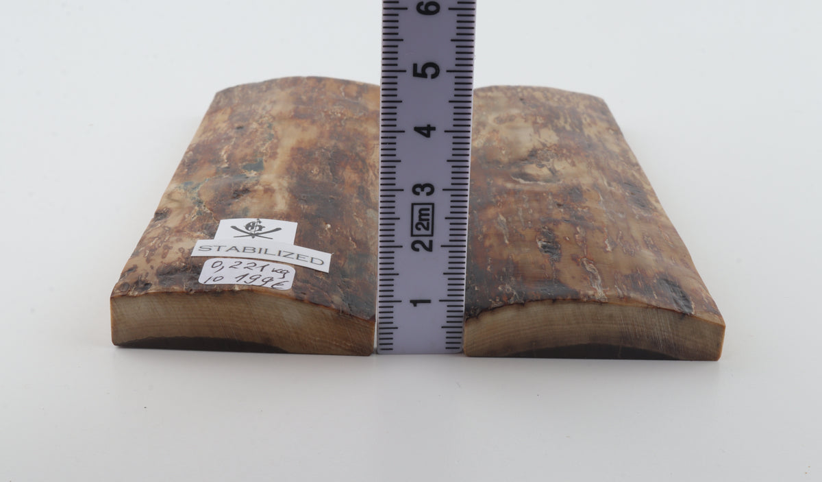 Stabilized mammoth bark scales