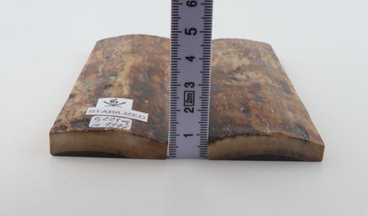 Stabilized mammoth bark scales