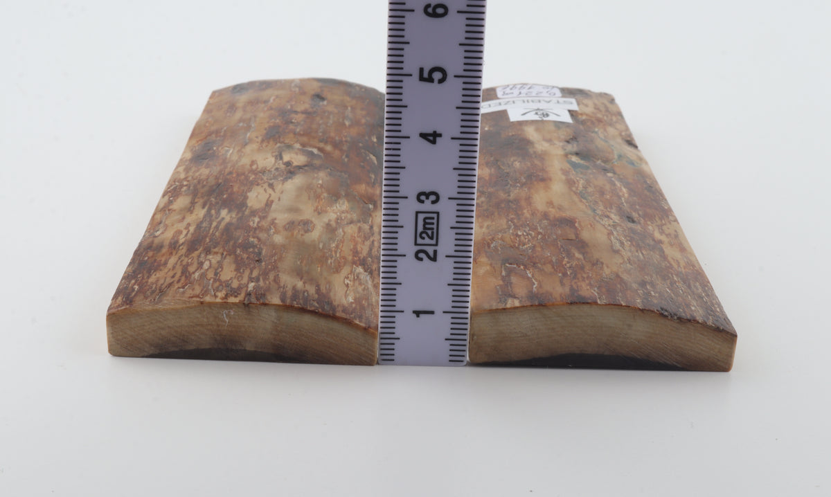 Stabilized mammoth bark scales