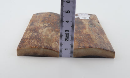 Stabilized mammoth bark scales