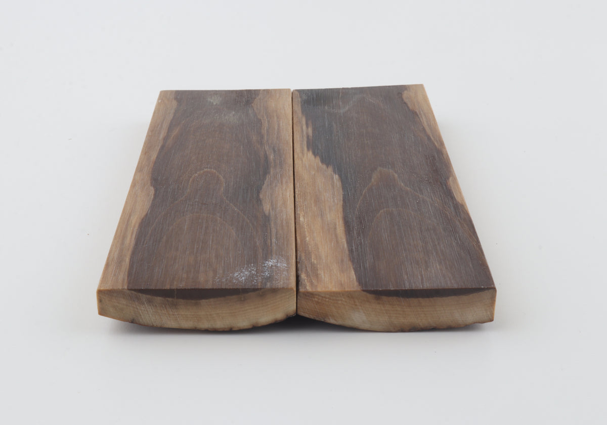 Stabilized mammoth bark scales