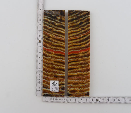Stabilised mammoth molar scales