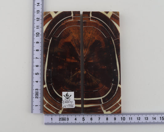 Stabilized mammoth ivory scales