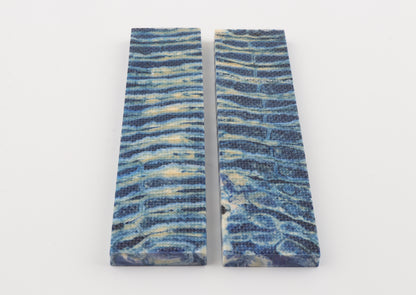 Stabilised mammoth molar scales