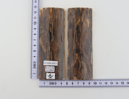 Stabilised mammoth bark scales