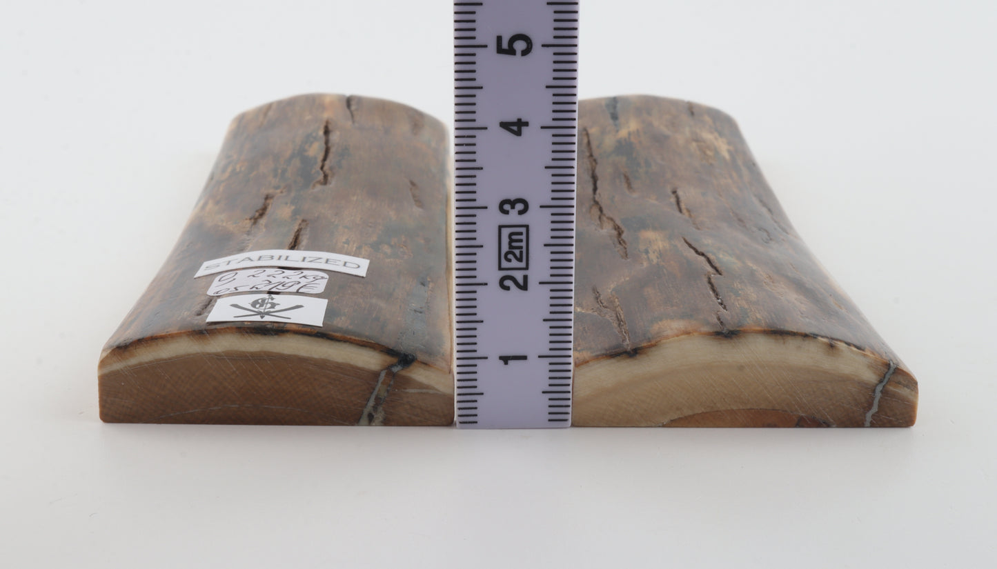 Stabilised mammoth bark scales