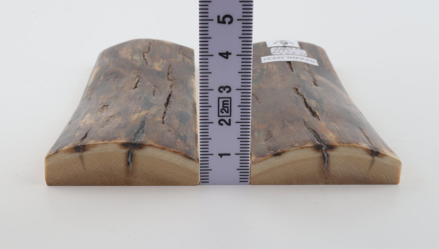 Stabilised mammoth bark scales