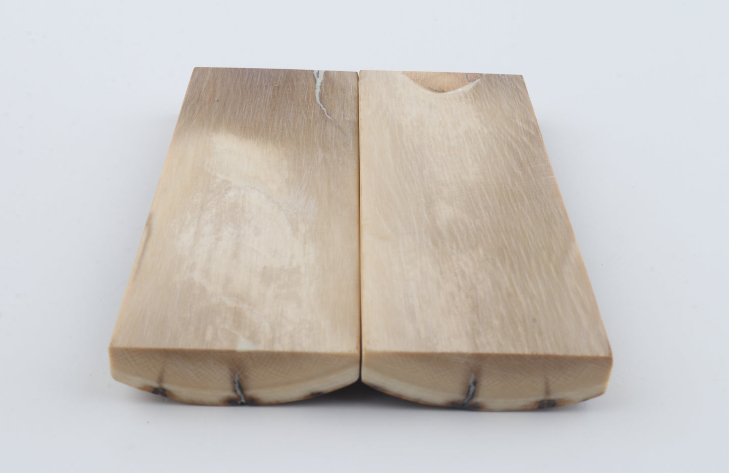 Stabilised mammoth bark scales