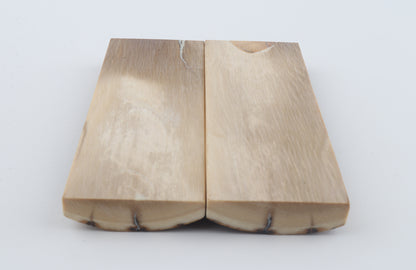 Stabilised mammoth bark scales