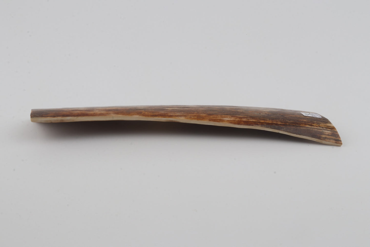 Brown mammoth bark