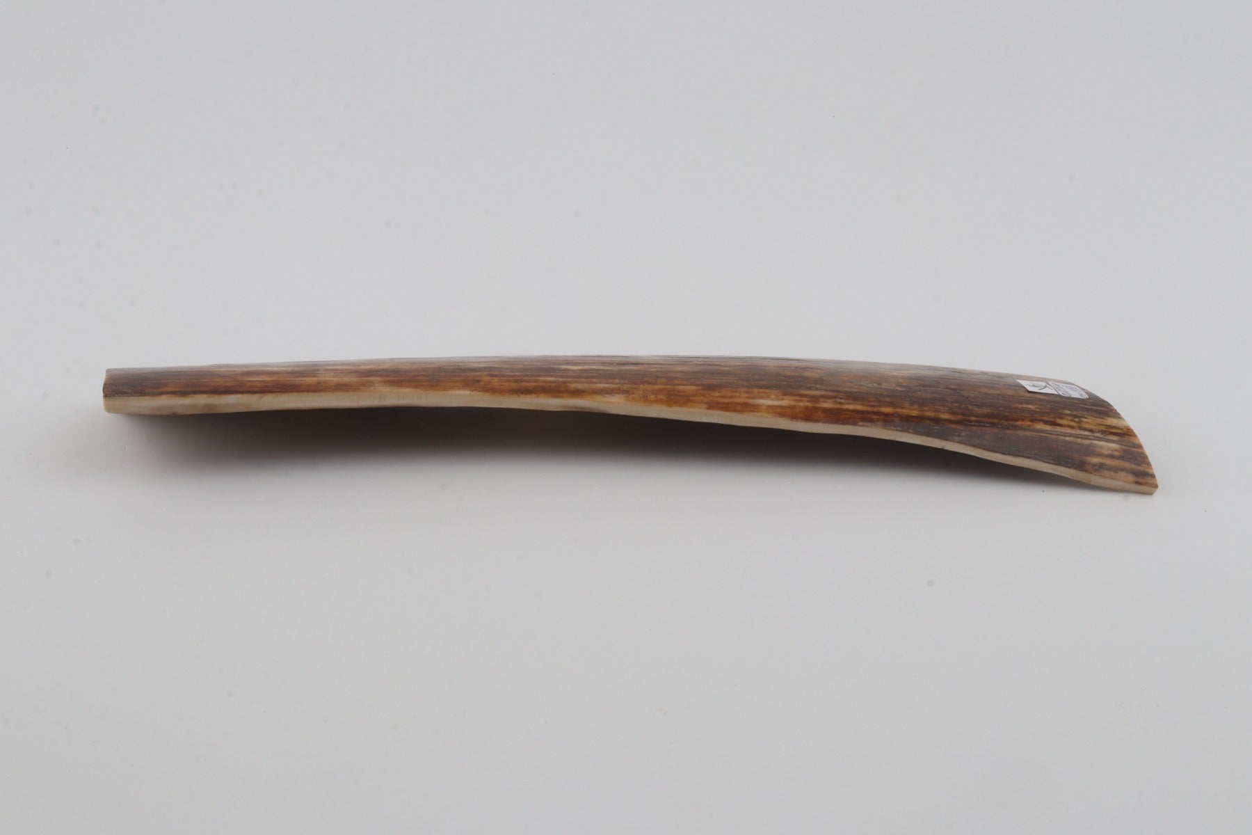 Brown mammoth bark