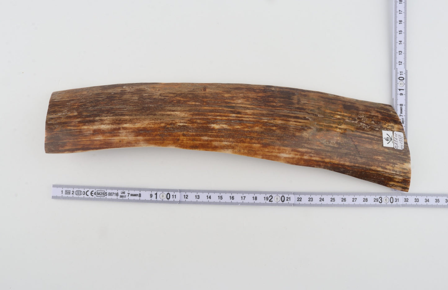 Brown mammoth bark