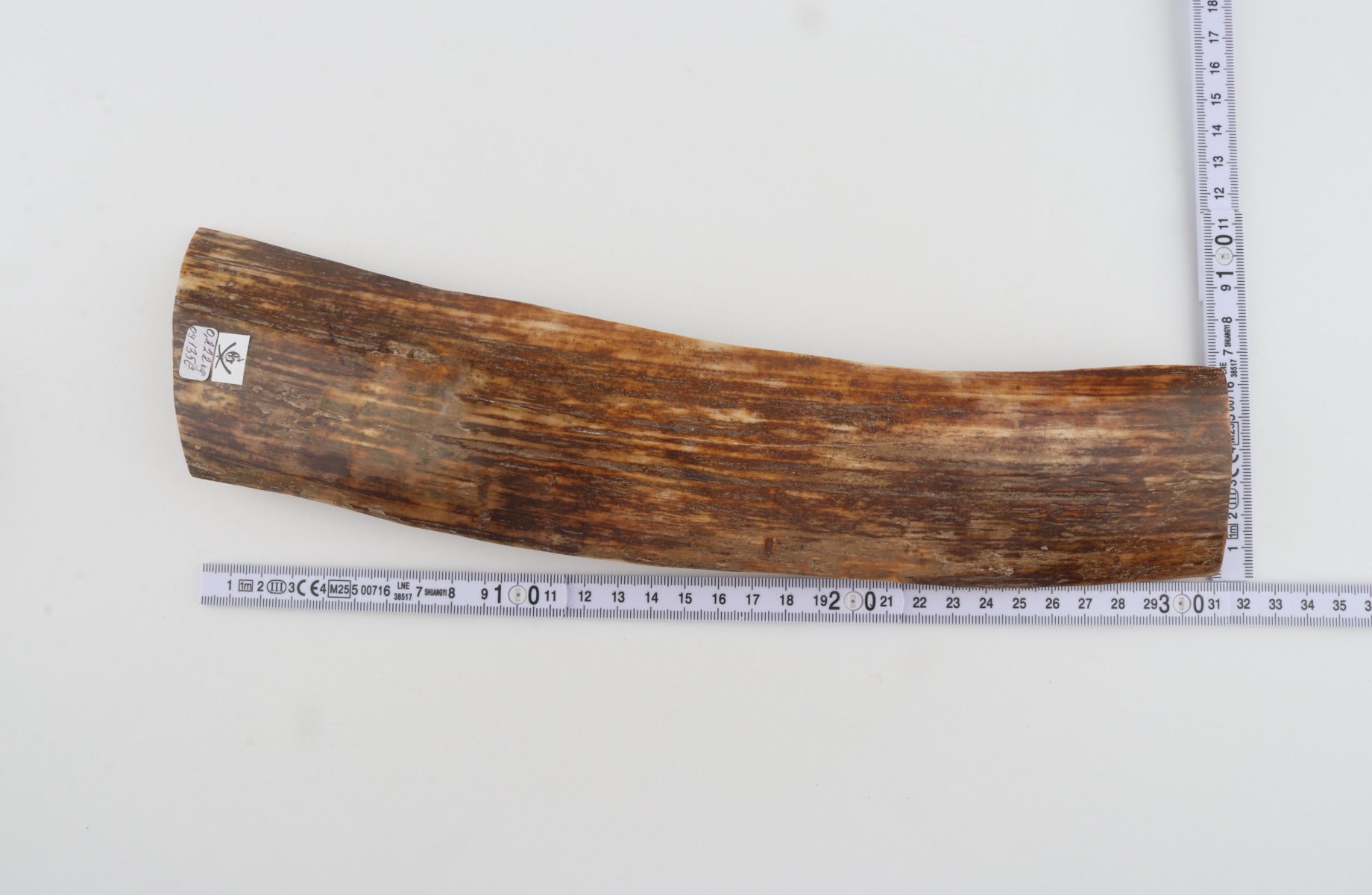 Brown mammoth bark