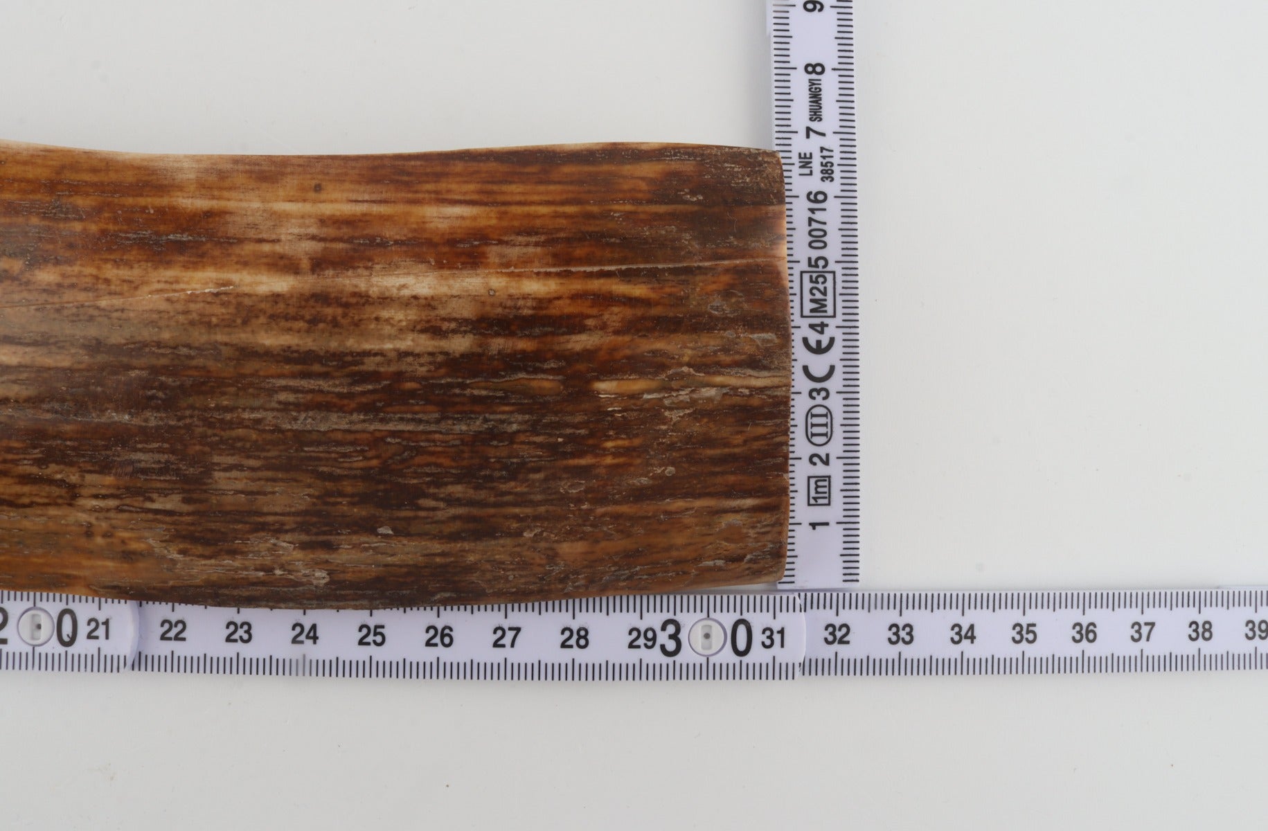 Brown mammoth bark