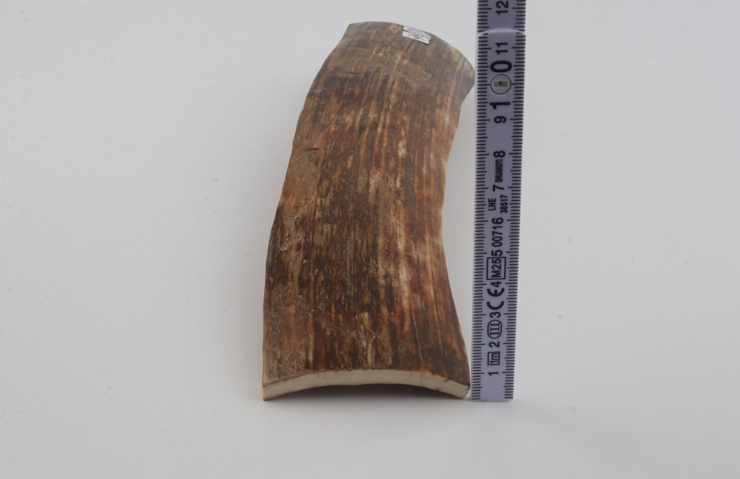 Brown mammoth bark