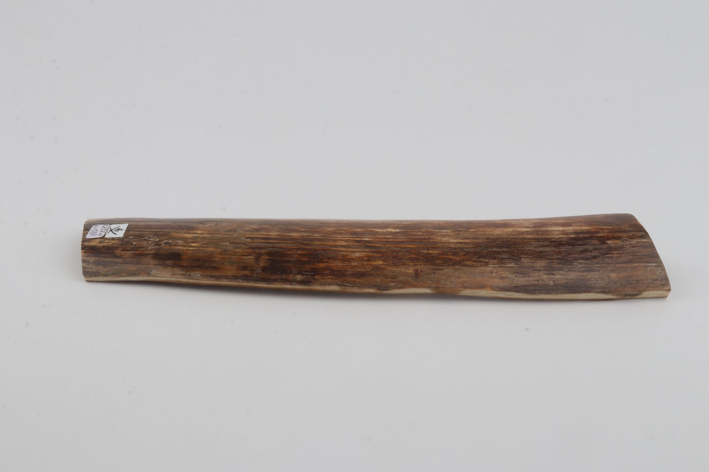 Brown mammoth bark