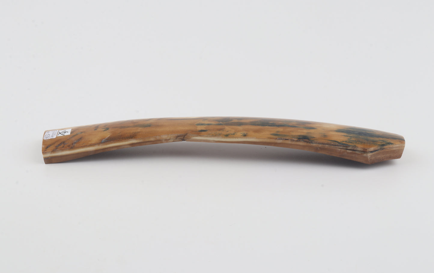 Mustard-blue mammoth bark