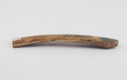 Mustard-blue mammoth bark