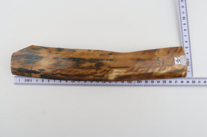 Mustard-blue mammoth bark
